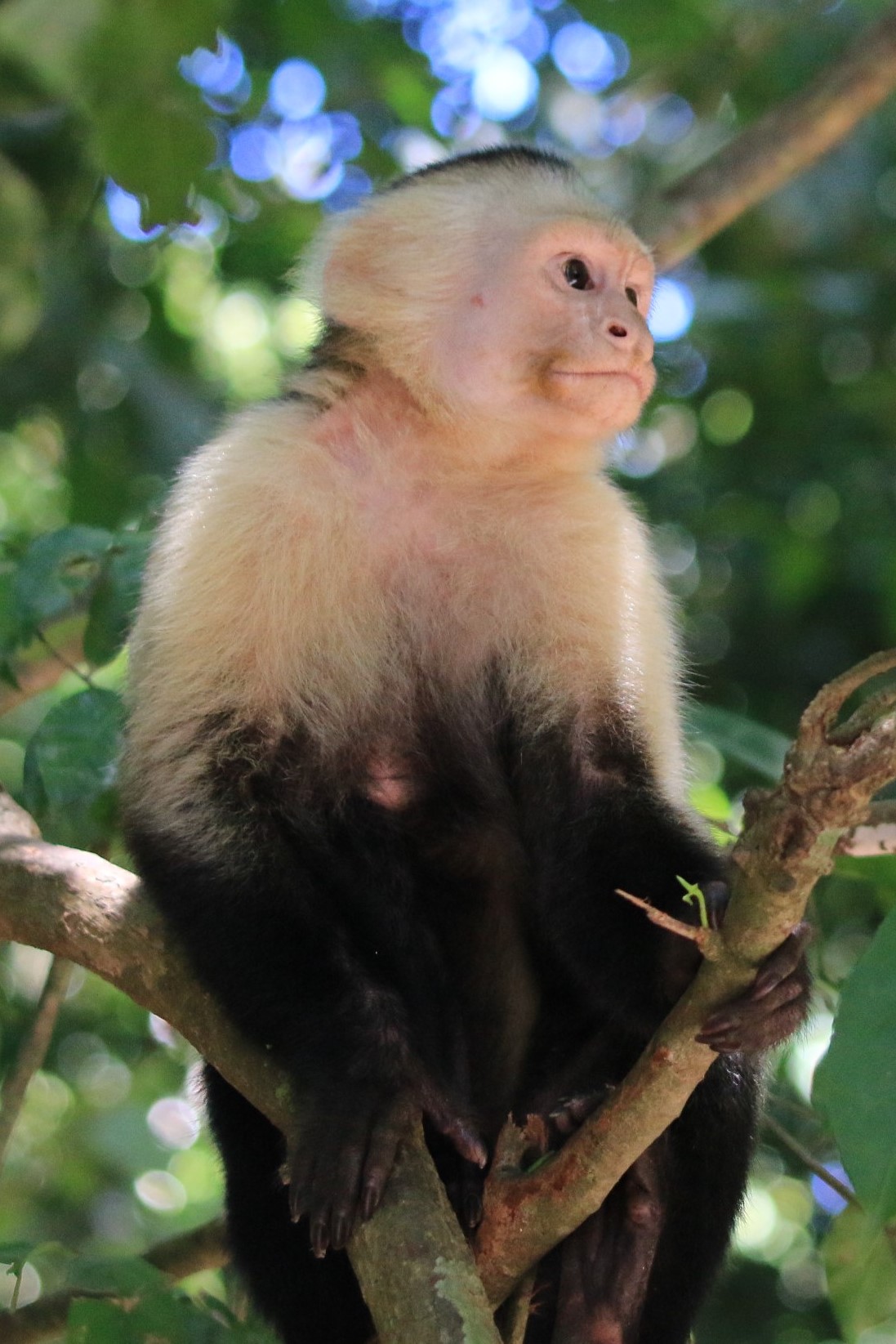 Costa Rica